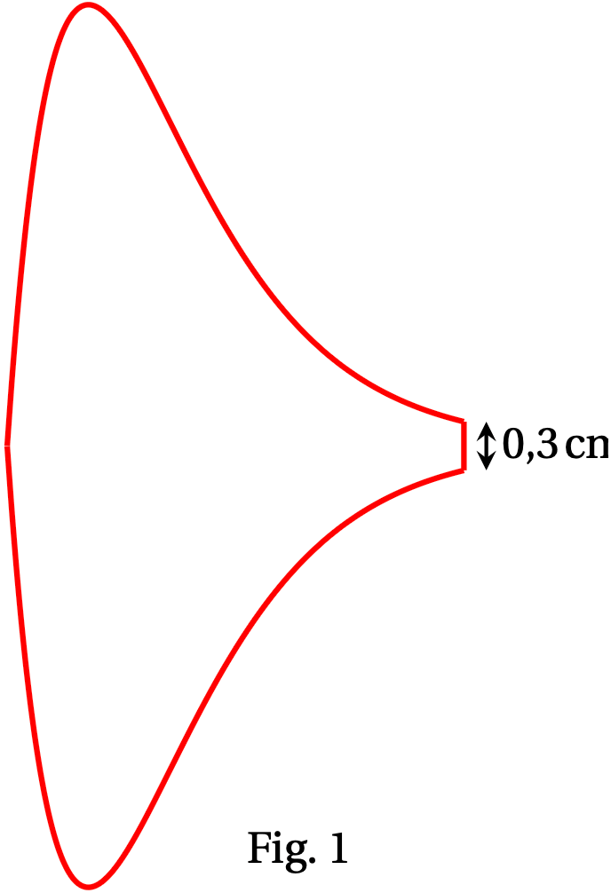 Fig. 1 — logo, largeur 0,3 cm